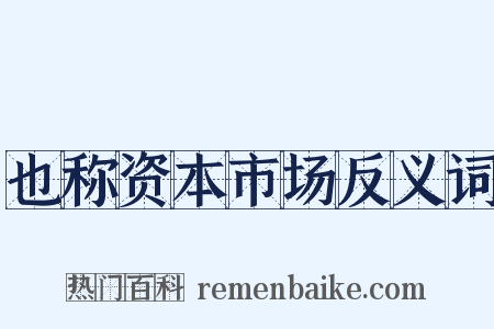 也称资本市场反义词是什么意思的图片